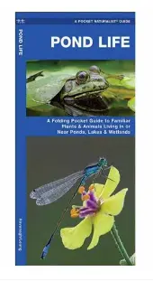 A Pocket Naturalist Guide to Freshwater Pond Life