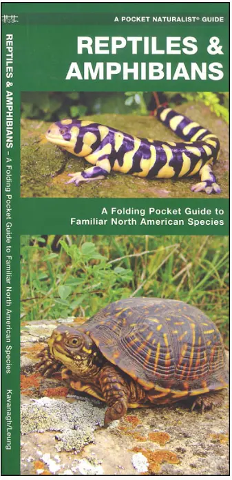 A Pocket Naturalist Guide to North American Reptiles and Amphibians