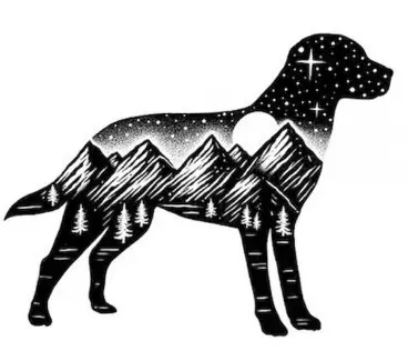 Adventure Dog Vinyl Sticker – Sticker Art Outdoor Enthusiast Decal