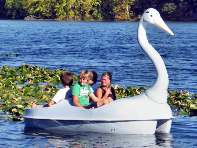 Adventure Glass Blue Heron 4-Seat Classic Pedal Boat