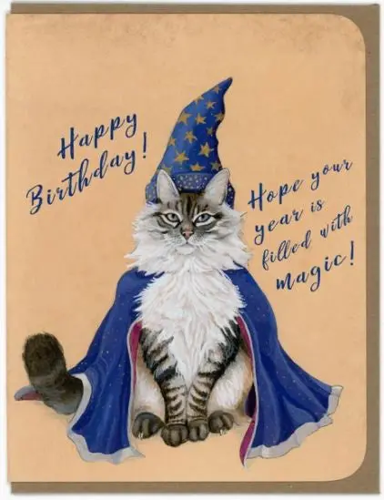 Amy Rose Moore Wizard Cat Birthday Card