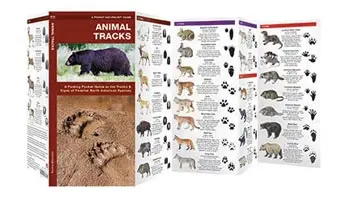 Animal Tracks & Signs Field Identification Pocket Guide