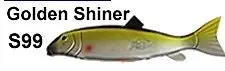 Bear Creek 9-Inch Golden Shiner Sucker Spearing Decoy (Single Unit) – Model S99