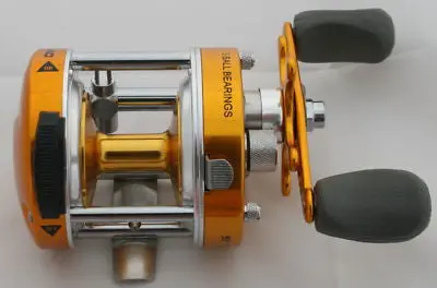 CZH40 Gold-Trimmed 3-Bearing Baitcasting Reel for Anglers