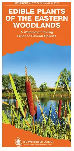 Edible Wild Plants of the Eastern Woodlands Guide
