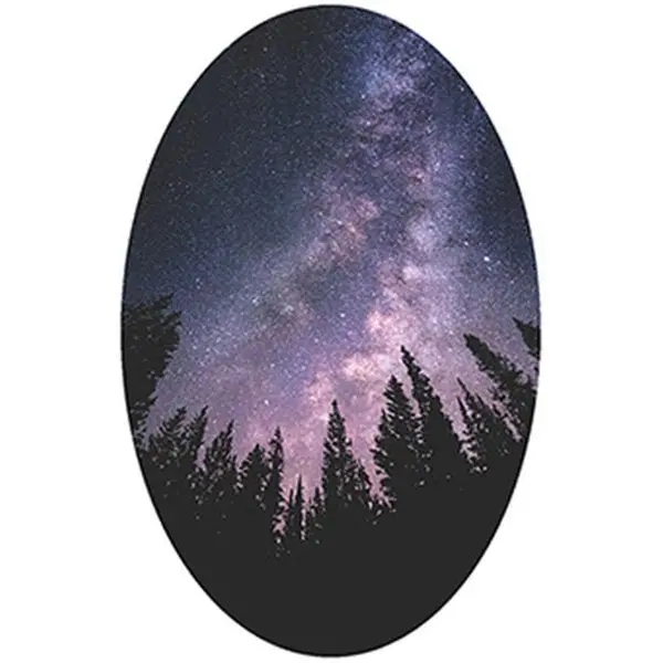 Feeling Small in Nature Sticker – Reflective Wilderness Decal