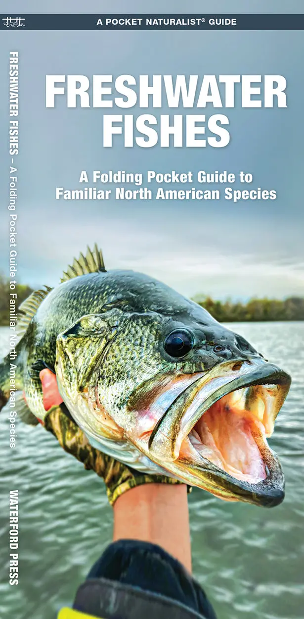 Freshwater Fish Identification Pocket Guide