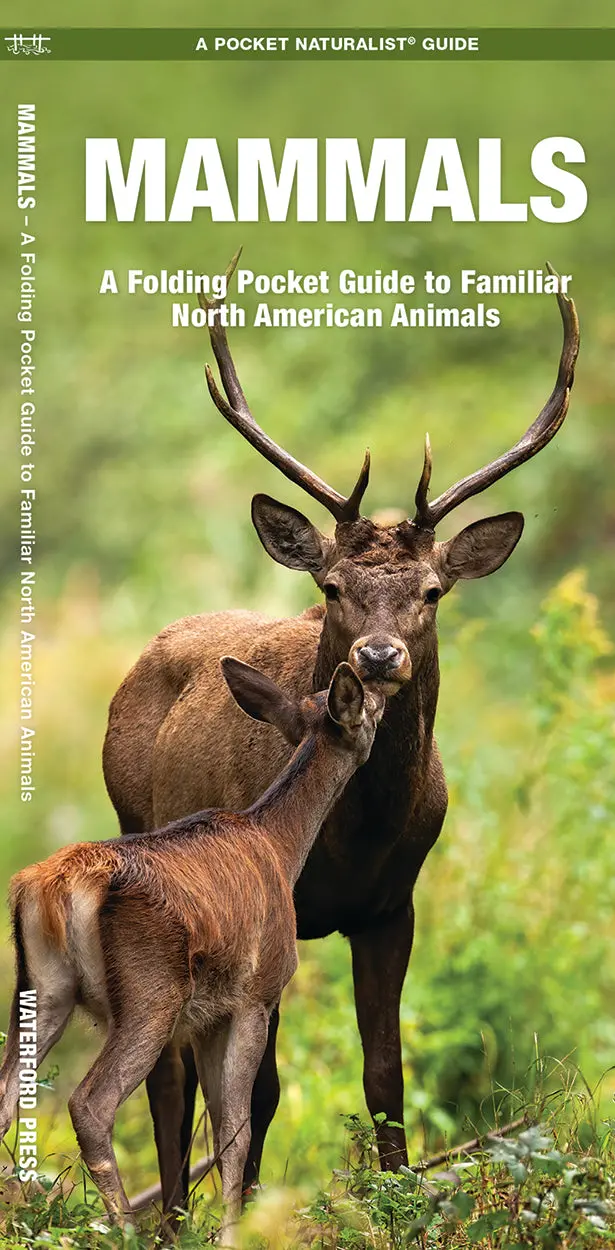 Mammal Species Pocket Field Guide