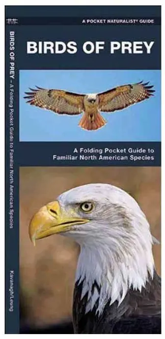 Pocket Guide to North American Birds of Prey