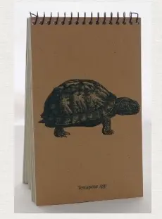 Semaki & Bird Explorer Notebook – Illustrated Journal Pad