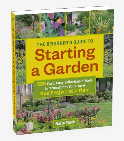 Starting Your First Garden: A Friendly, Step-by-Step Introduction