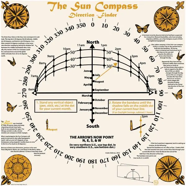 Sun Compass Bandana – Nature Facts Series