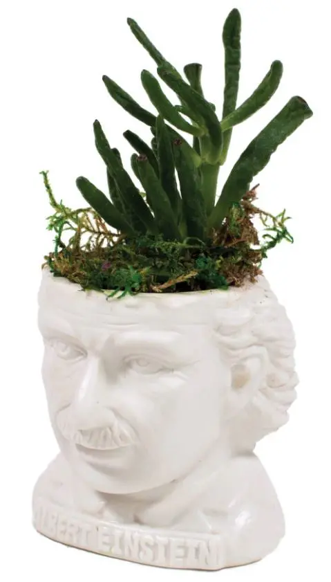 Unemployed Philosophers Guild Albert Einstein Ceramic Planter