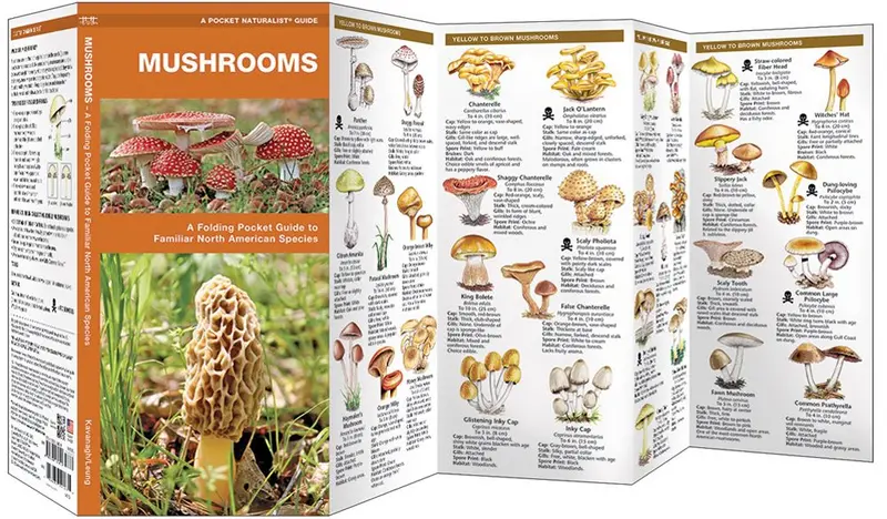 Waterford Press Mushroom Identification Pocket Guide