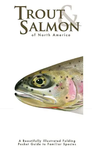 Waterford Press Trout & Salmon of North America – Illustrated Field Guide