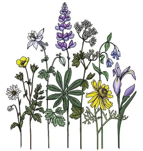 Wildflowers Sticker Art – Botanical-Themed Vinyl Decal Set