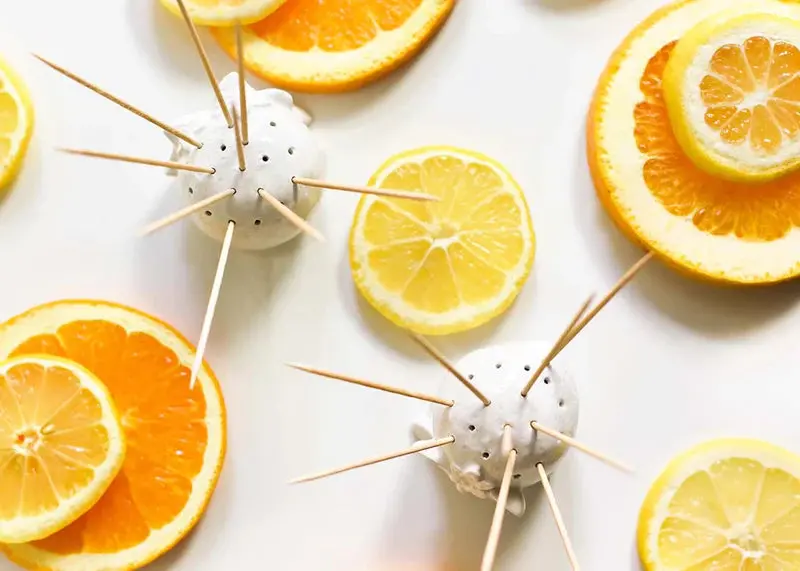 Zesty Lemon-Scented Toothpick Dispenser